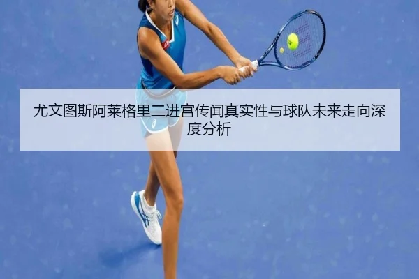 尤文图斯阿莱格里二进宫传闻真实性与球队未来走向深度分析
